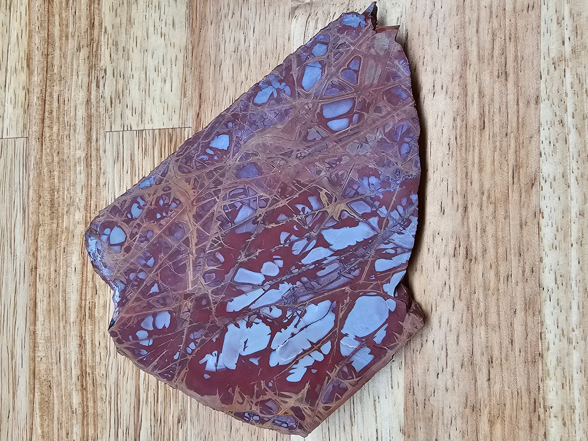 Noreena Jasper JA-00015-02