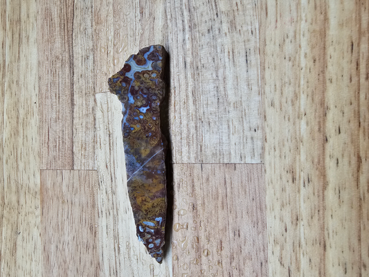 Indonesian Multi-colored Palm FS-x-00014C