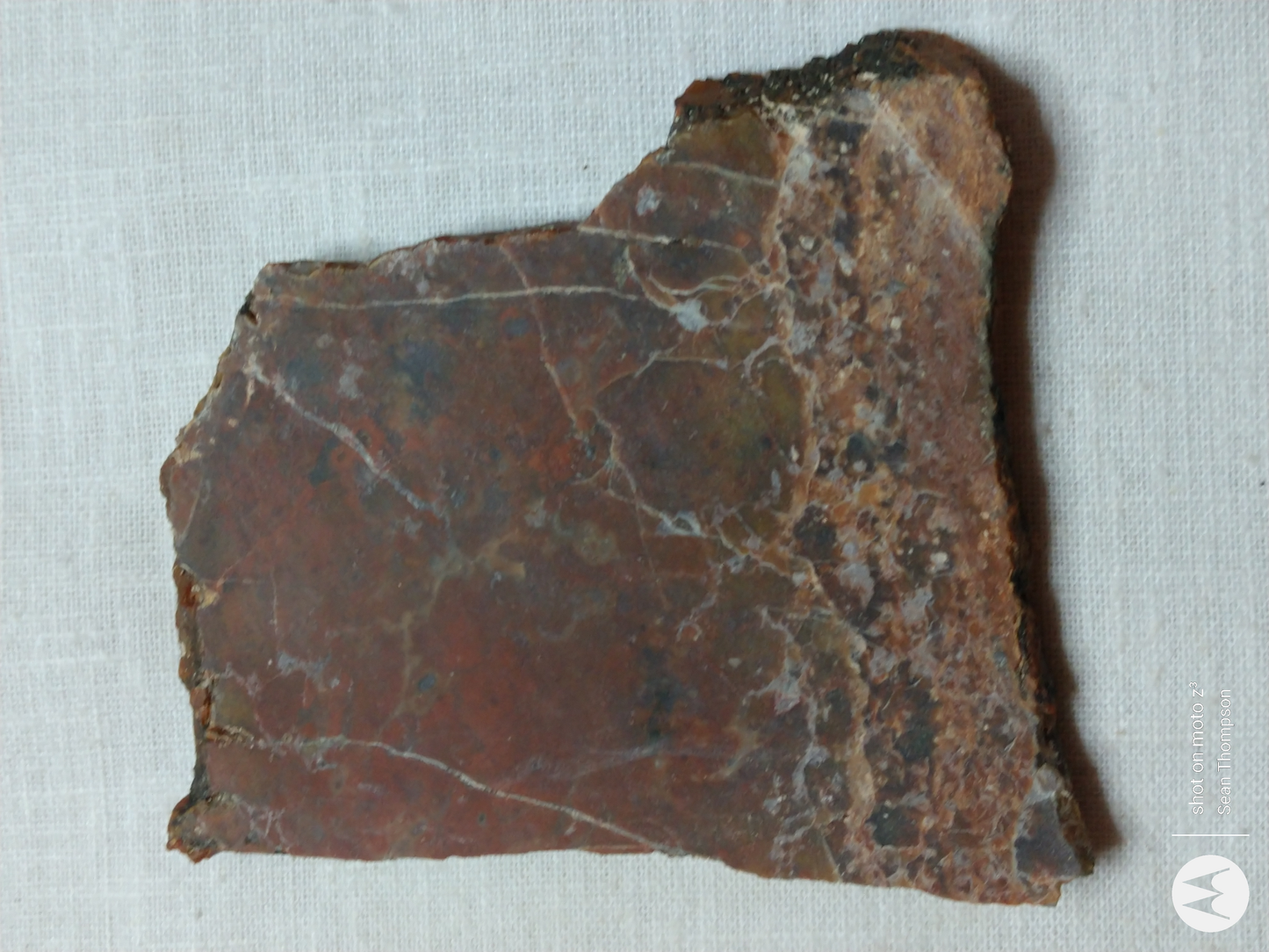 Petrified Wood PW-00006-08a