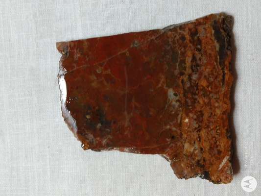 Petrified Wood PW-00006-08a