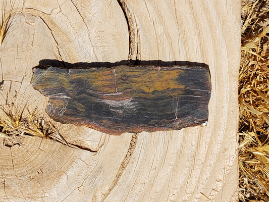 Petrified Wood PW-00004-05
