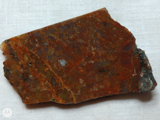 Petrified Wood PW-00006-01b
