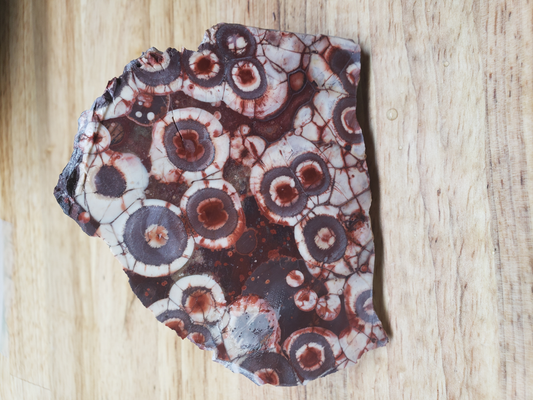 Birds Eye Rhyolite WS-x-00006