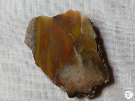 Petrified Wood PW-00007-01