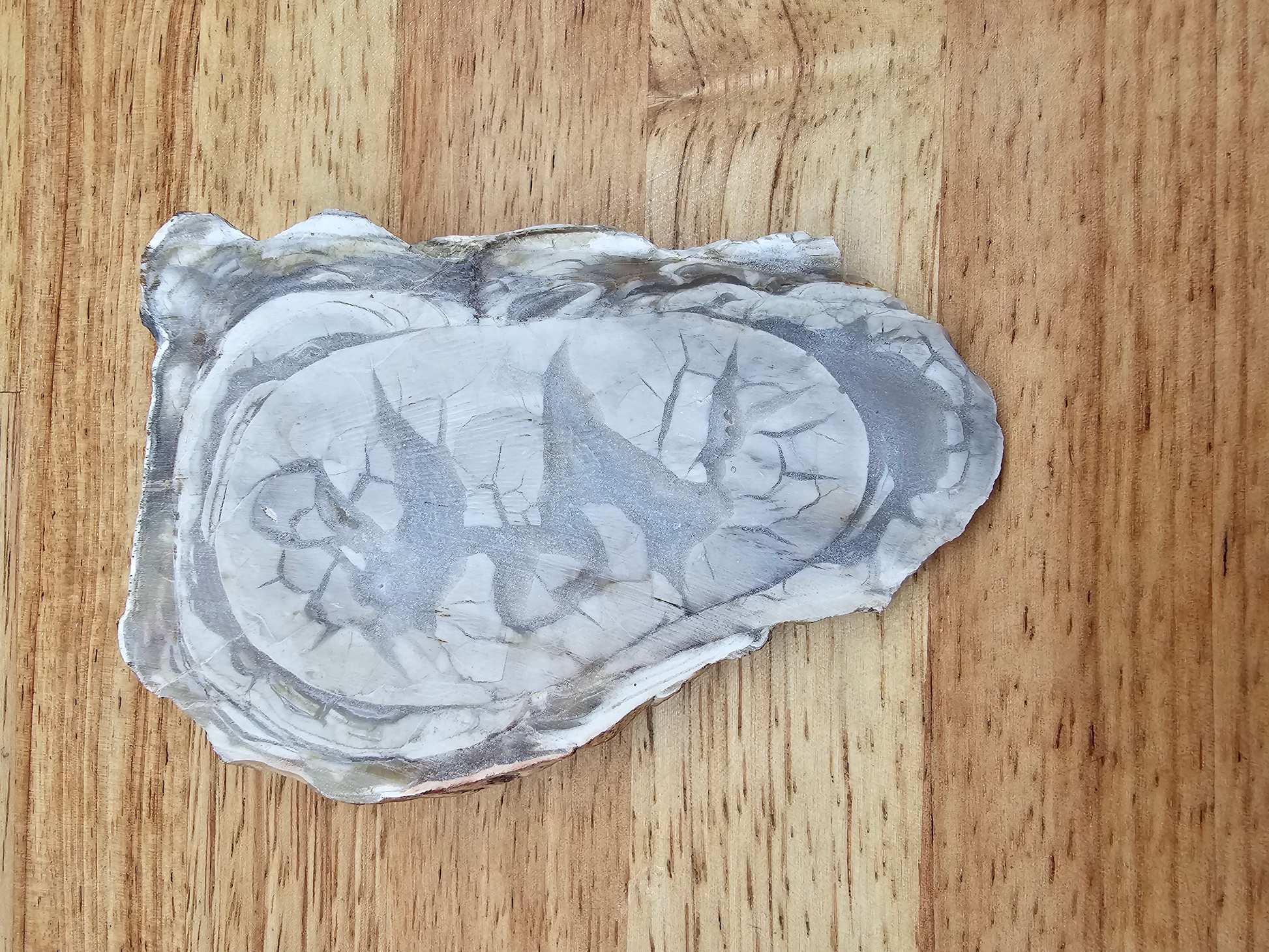 White Rose Jasper JA-x-00135
