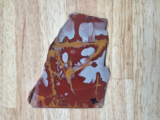 Noreena Jasper JA-x-00141