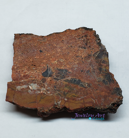 Petrified Wood PW-00003-03