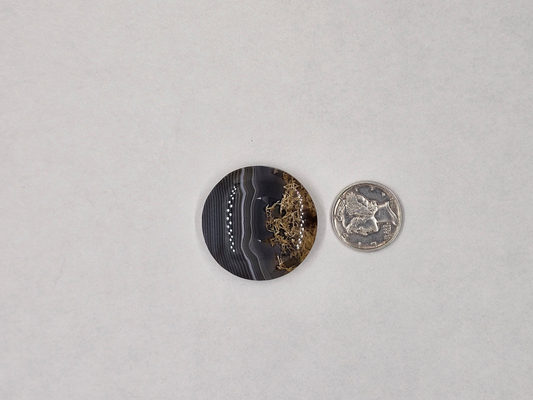 Timor Agate AG-x-x-00216