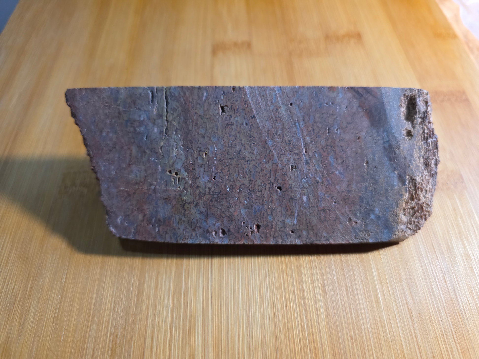 Dino Bone FS-x-00057