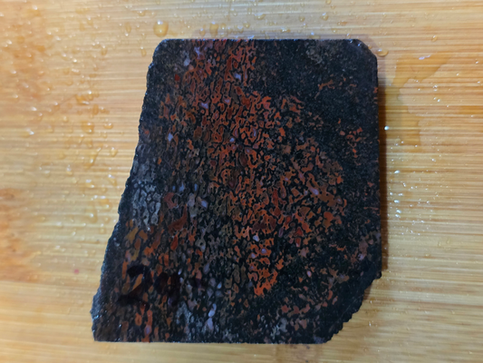 Dino Bone FS-x-00059