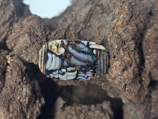 Petrified Fish Snakeskin FS-x-x-00135