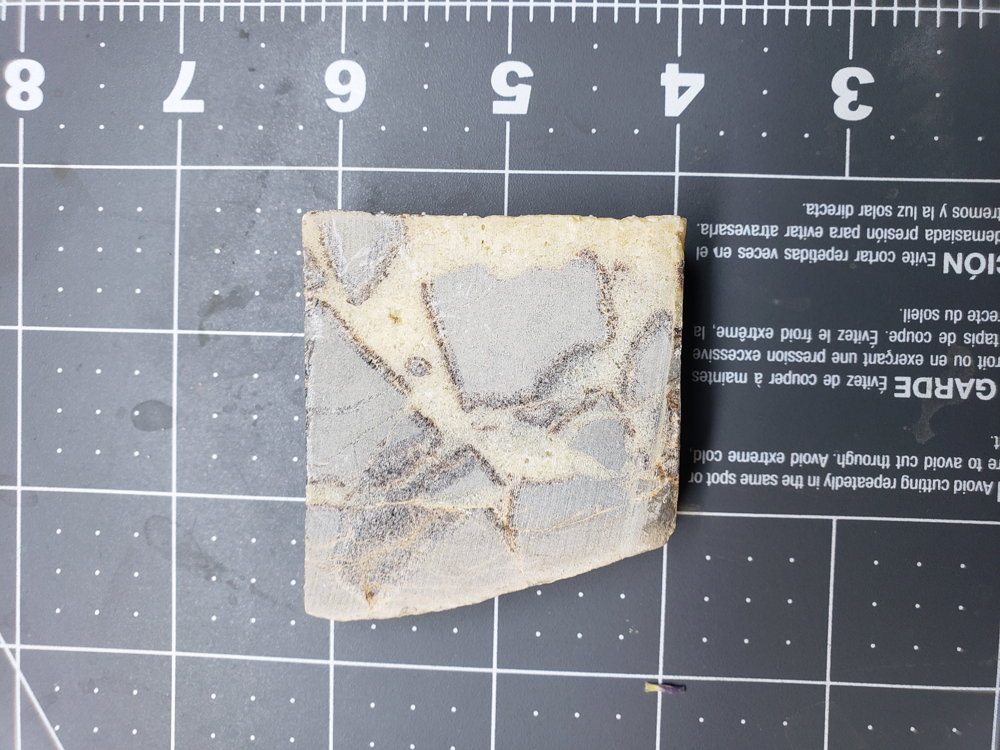 Septarian Nodule SN-x-00003