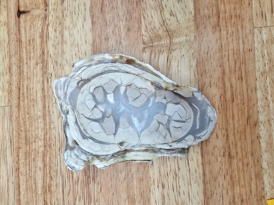 White Rose Jasper JA-x-00135