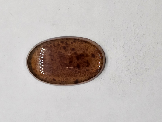 Baltic Amber FS-x-x-00156