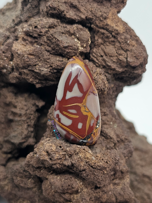 Noreena Jasper JA-x-00127-06