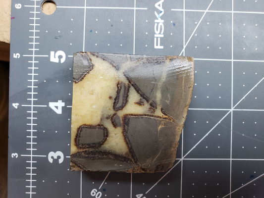 Septarian Nodule SN-x-00003