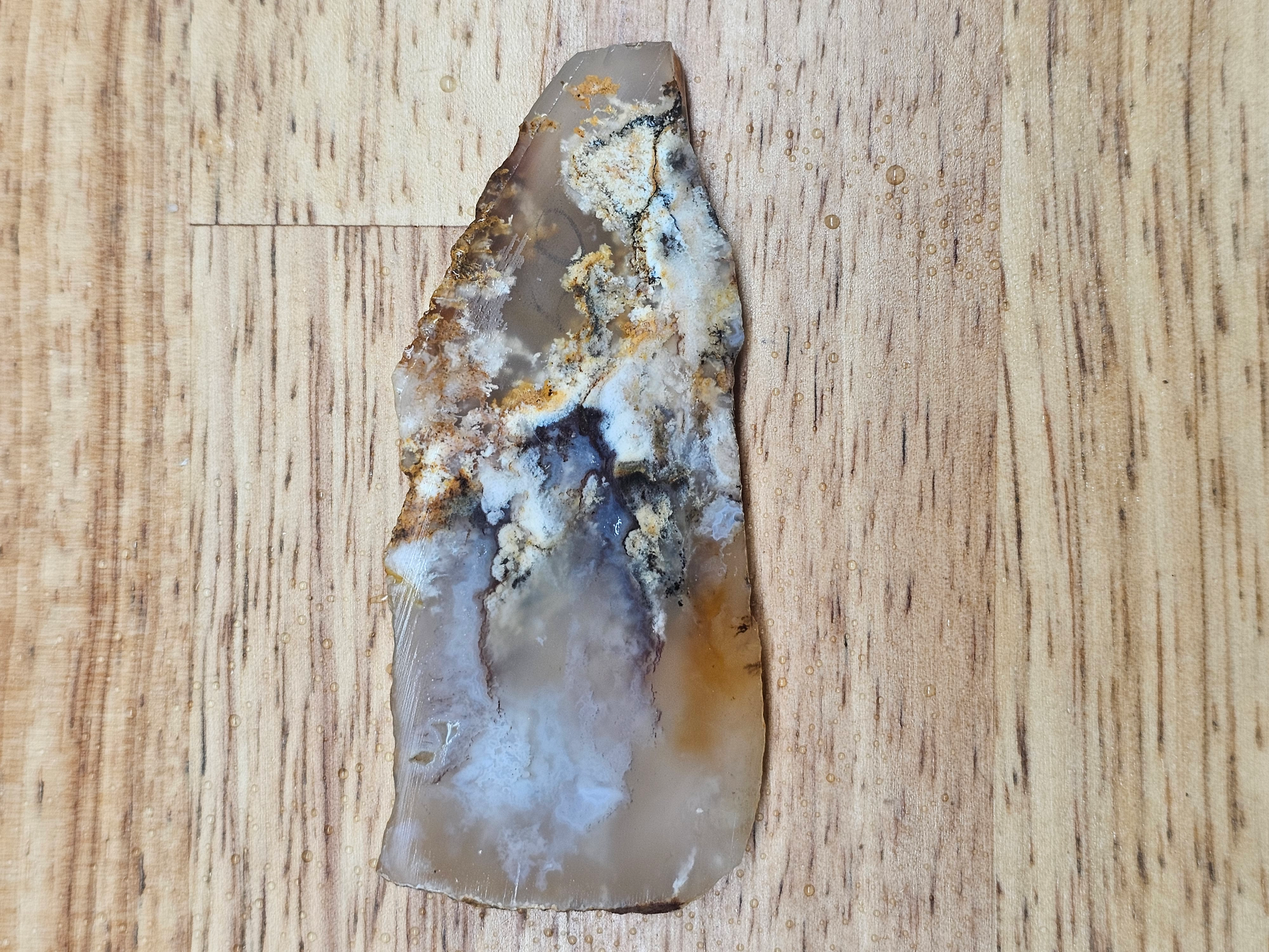 Graveyard Point Plume Agate AG-x-00139