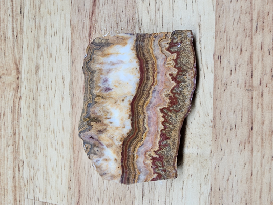 Autumn Laced Onyx NX-x-00051