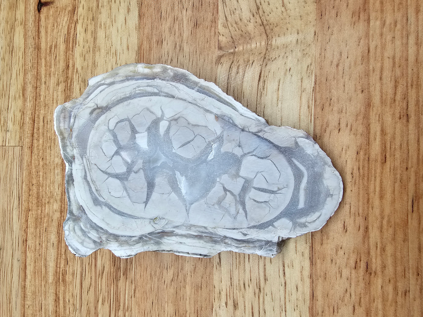 White Rose Jasper JA-x-00135