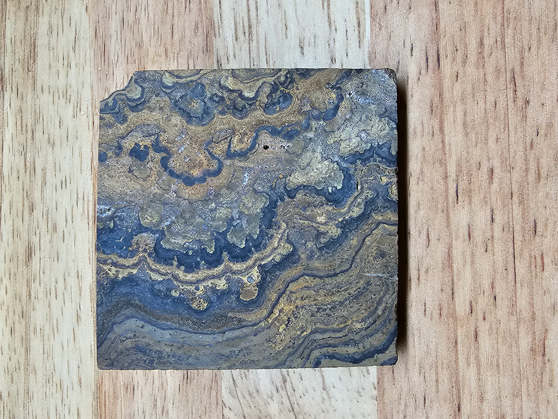 Stromatolite OT-x-00202