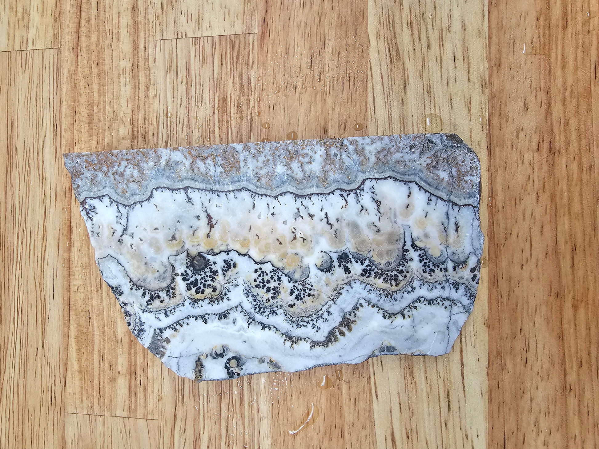 Silver Laced Onyx SLO-x-00002