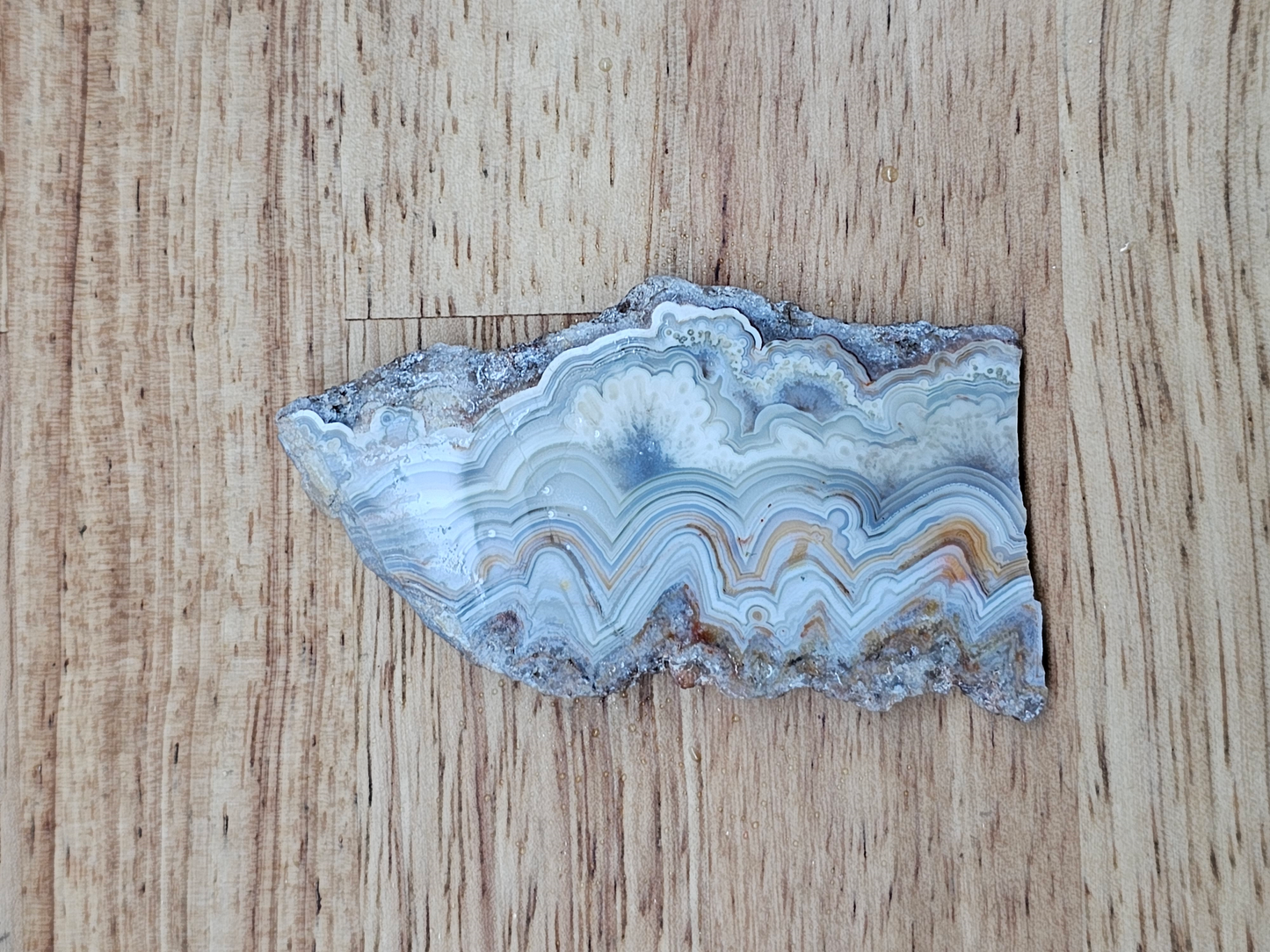 Crazy Lace Agate AG-x-00129