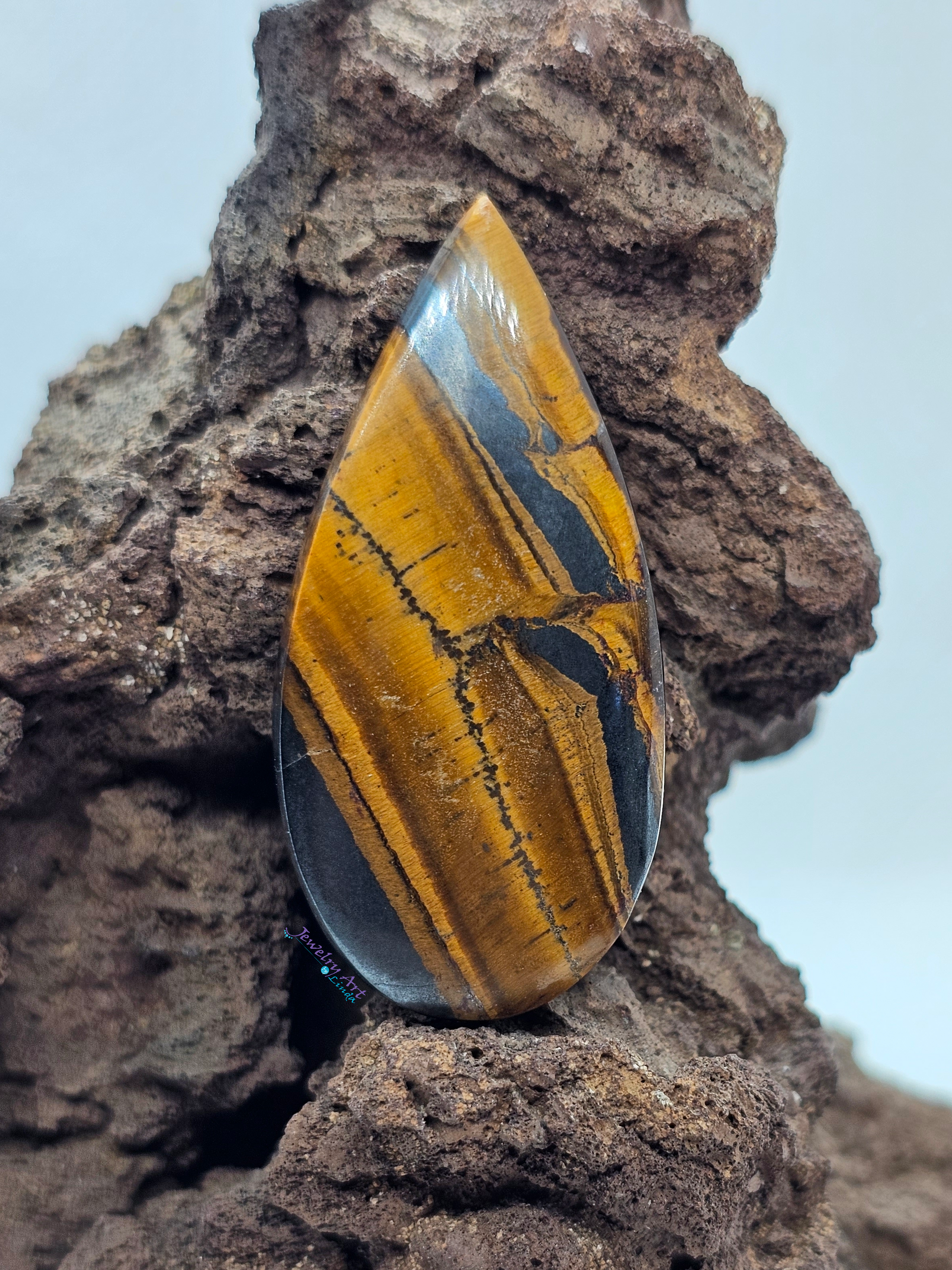 Tigers eye OT-x-x-00157