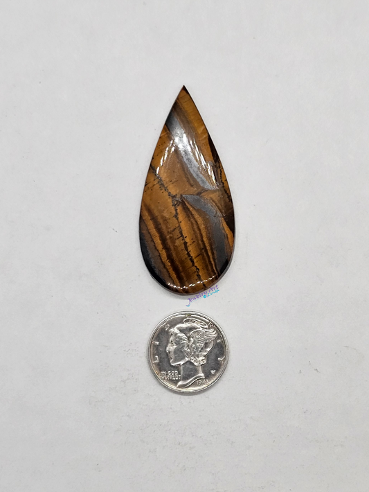 Tigers eye OT-x-x-00156