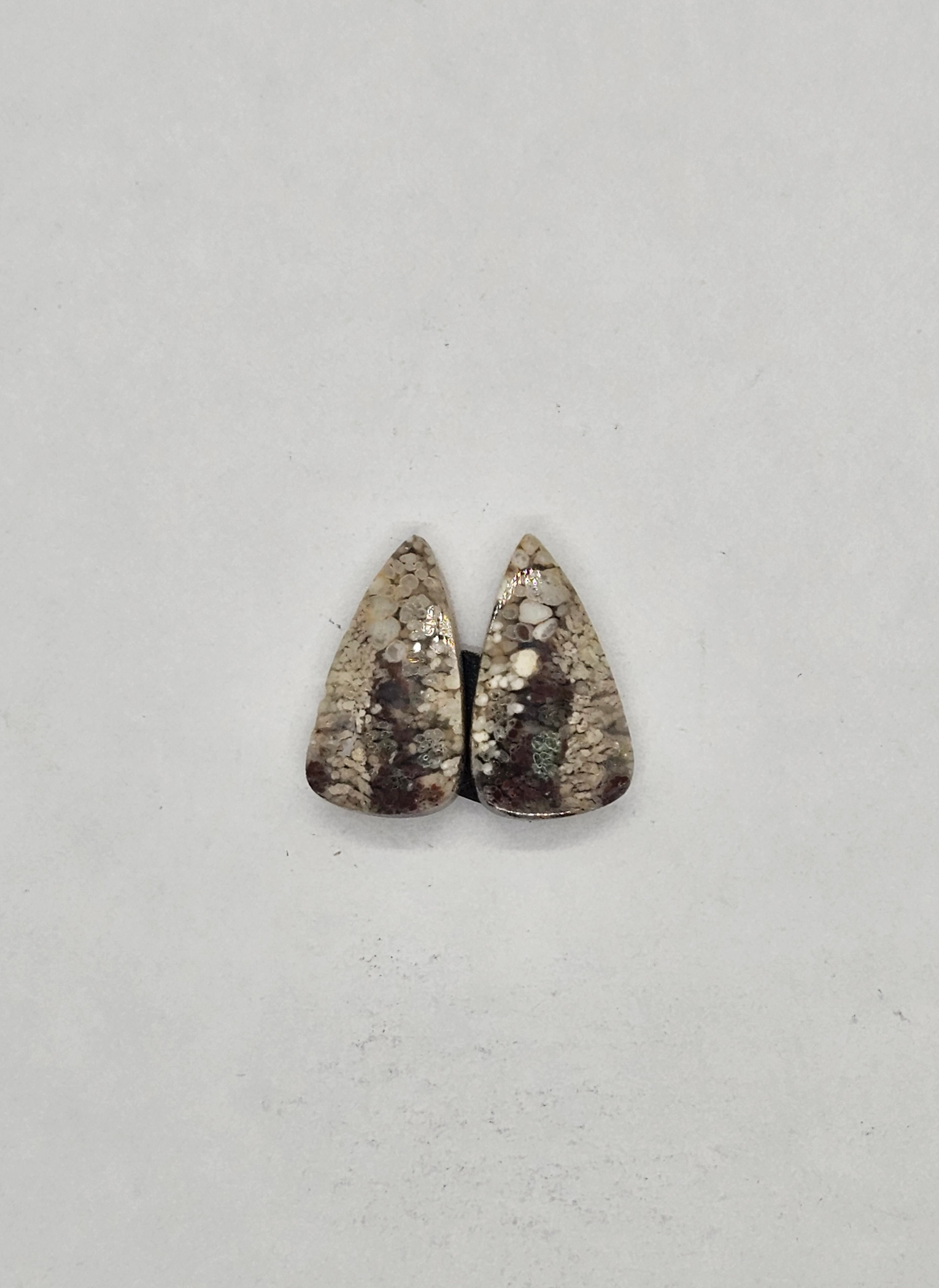 Plume AG-x-x-00168