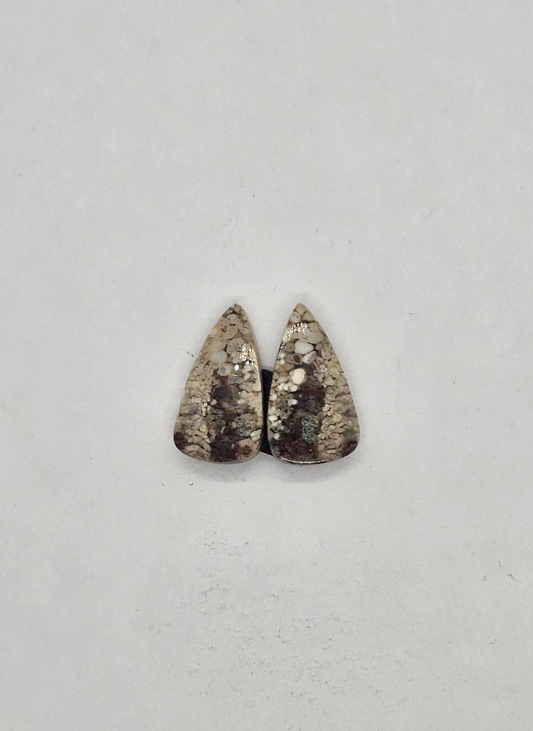 Plume AG-x-x-00168