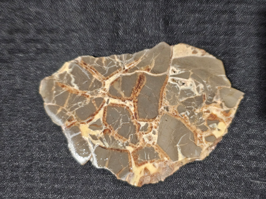 Septarian Nodule SN-x-00002