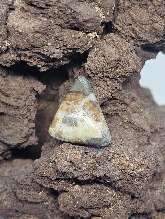 Septarian Nodule SN-x-00012-03