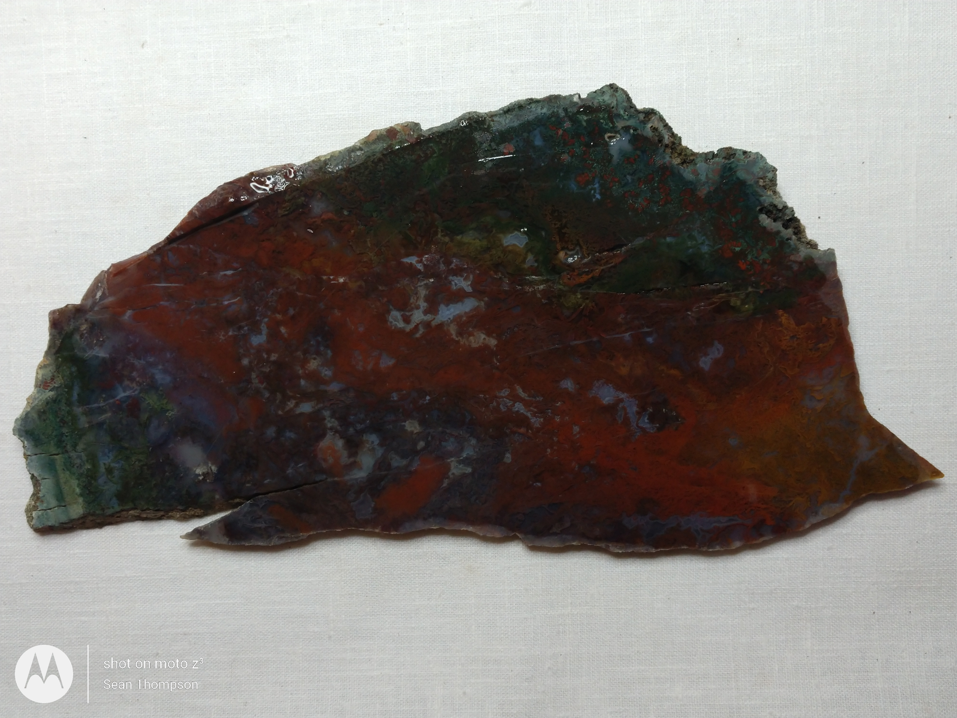 Holt Canyon Moss Agate HC-Bob-x1-00034