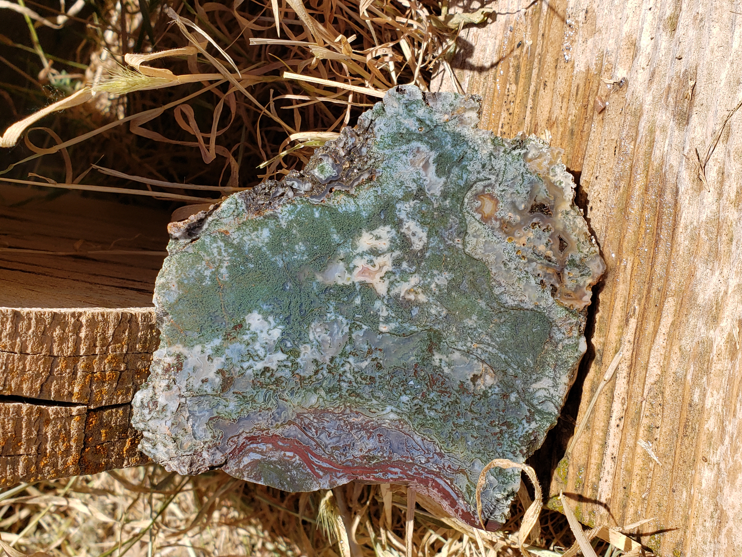 Holt Canyon Moss Agate HC-x-00005