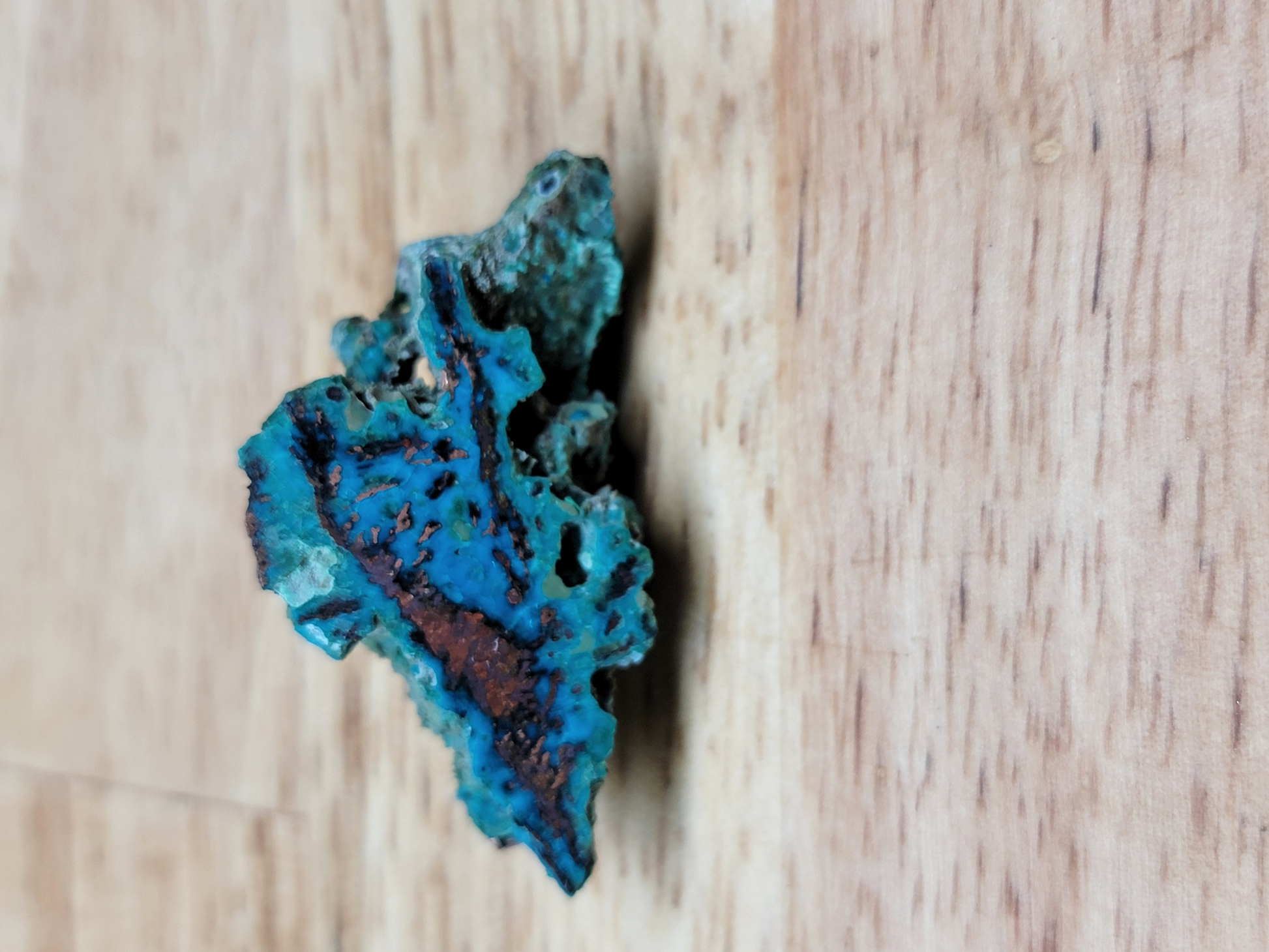 Chrysocolla Azurite CO-x-00120