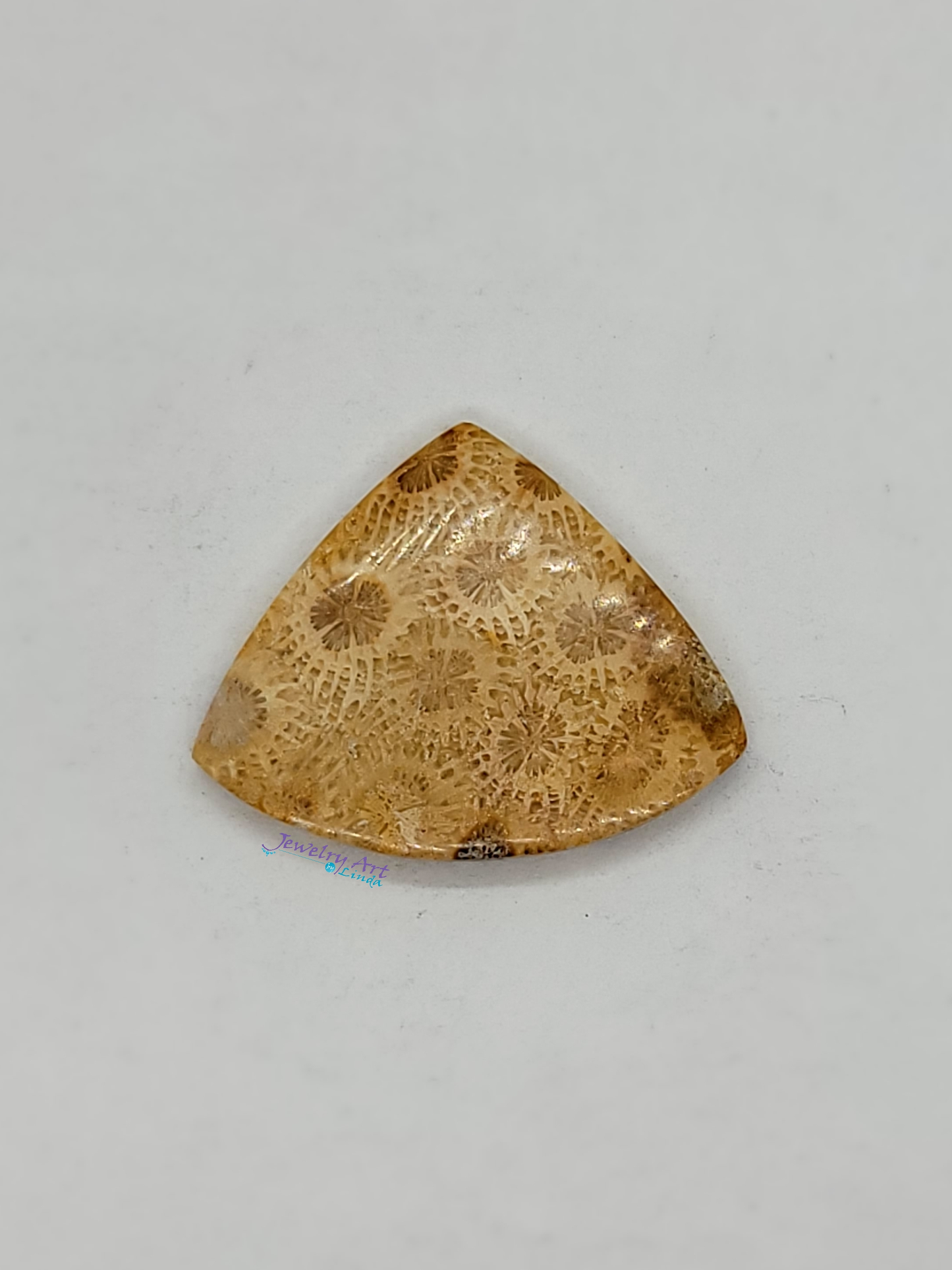 Petrified Coral FS-x-x-00046