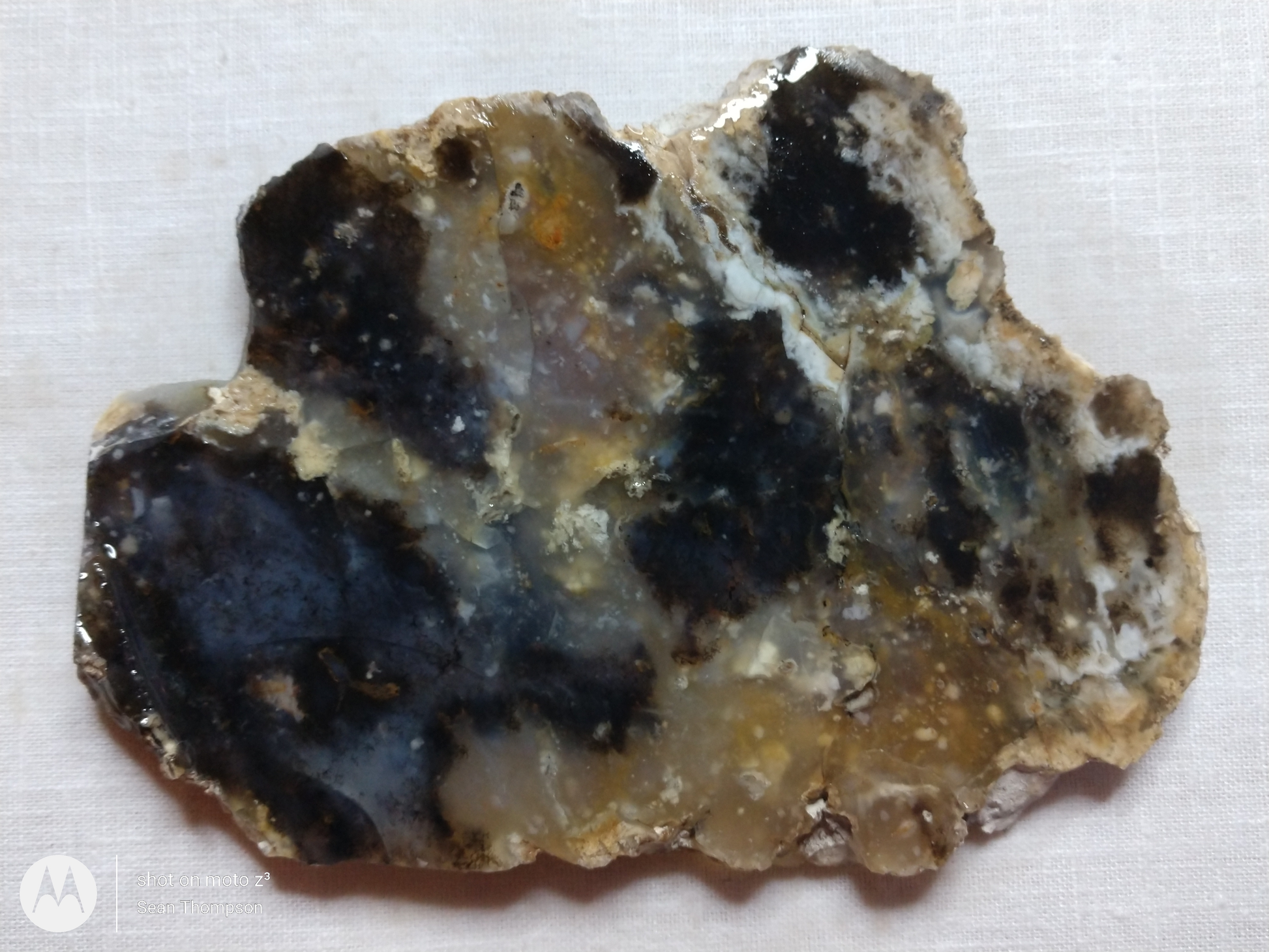 Brian Head Agate BH-00004-15