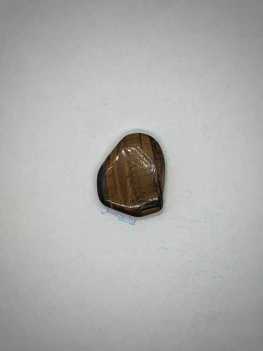 Tigers eye OT-x-x-00078