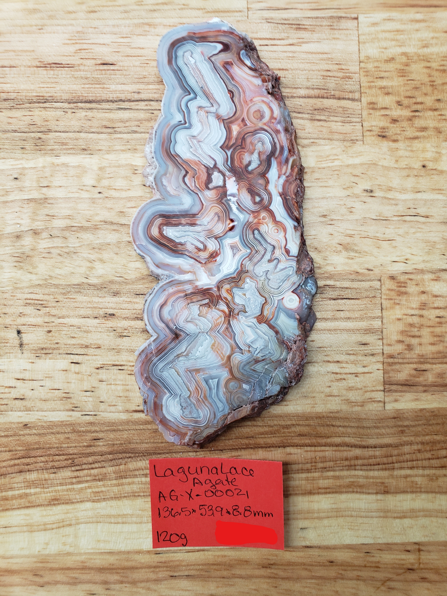 Laguna Lace Agate AG-x-00021