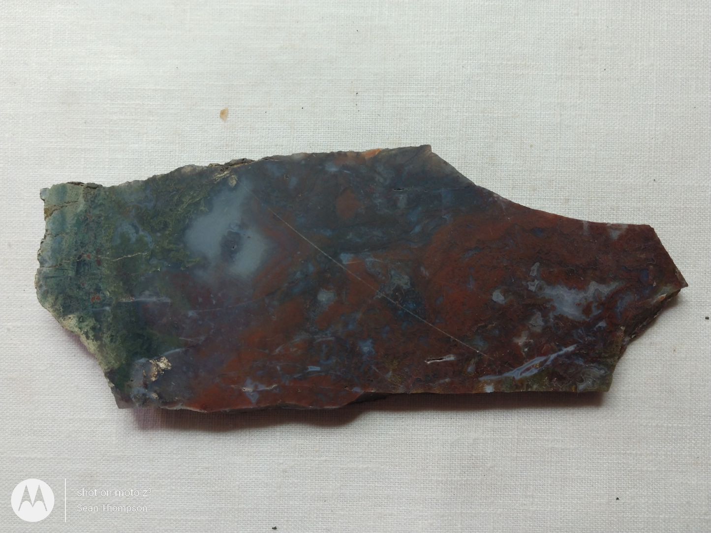 Holt Canyon Moss Agate HC-Bob-x1-00021