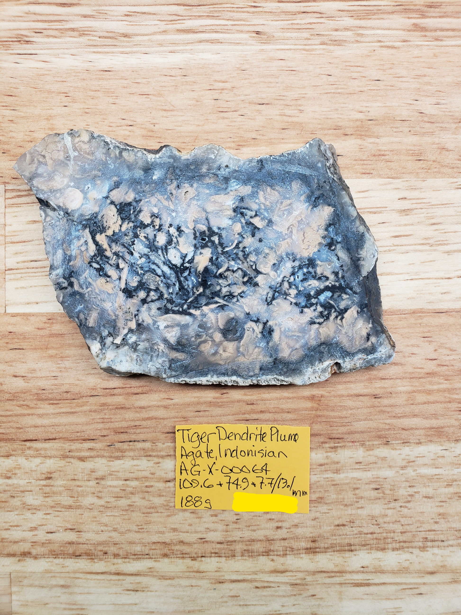 Tiger Dendrite Plume Agate AG-x-00064