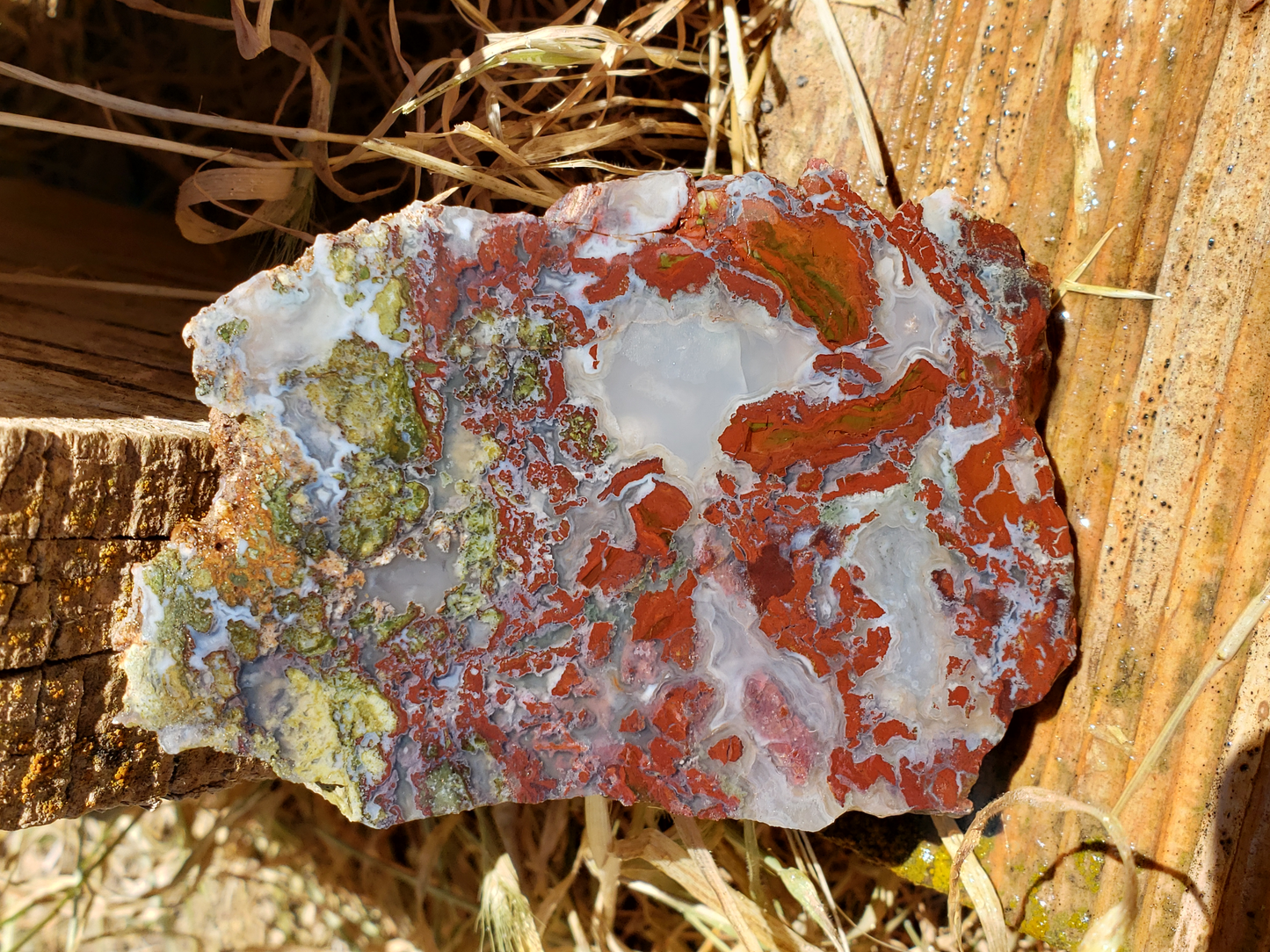 Holt Canyon Agate HC-x-00006