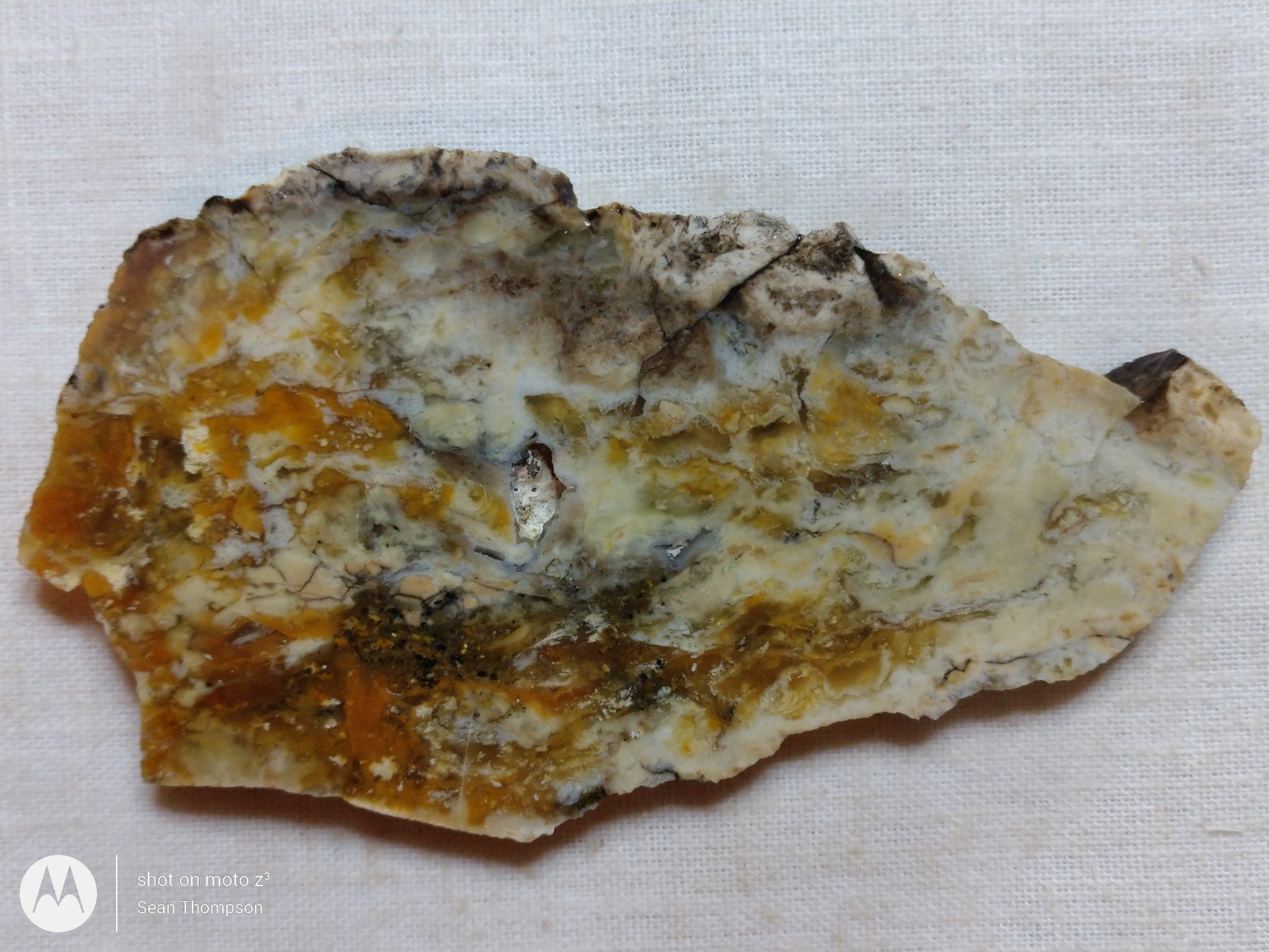 Brian Head Agate BH-00010-10