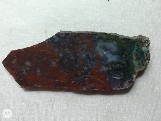 Holt Canyon Moss Agate HC-Bob-x1-00021