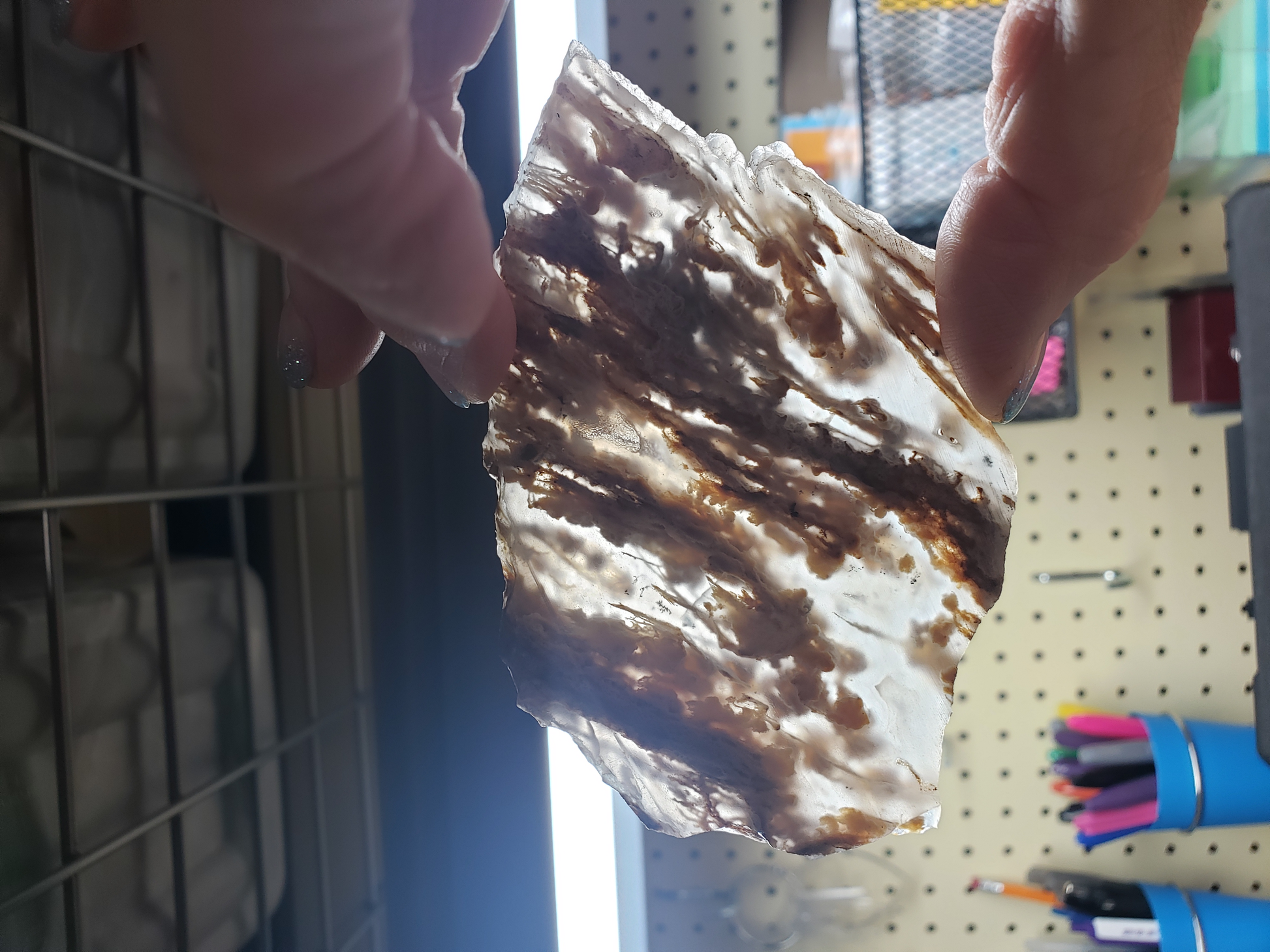 Eagle Rock Agate AG-x-00075