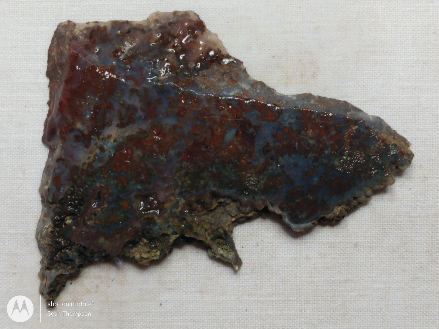 Holt Canyon Moss Agate HC-Bob-x1-00029