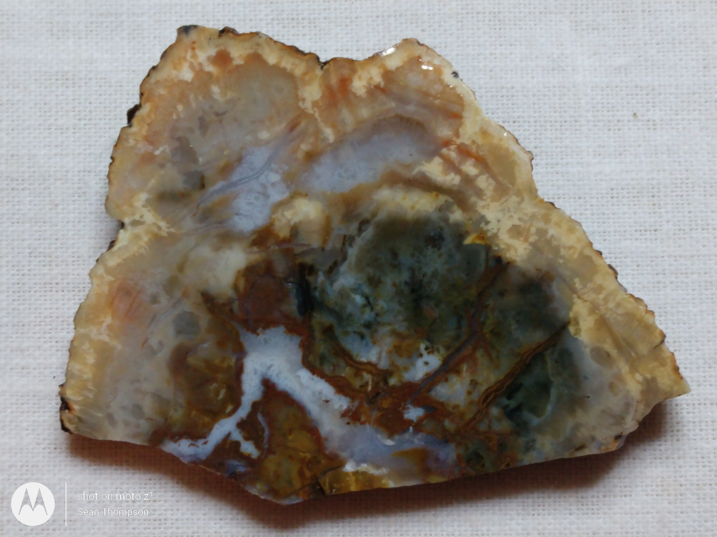 Coprolite FS-00006-07