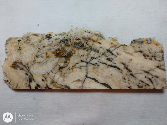 Holt Canyon HC-WH-00001-21