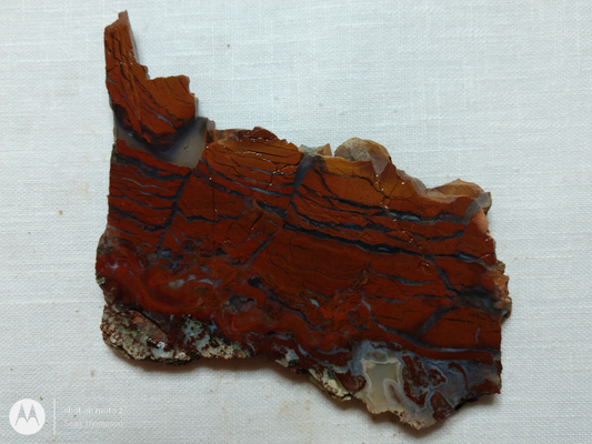 Holt Canyon Agate HC-00012-11