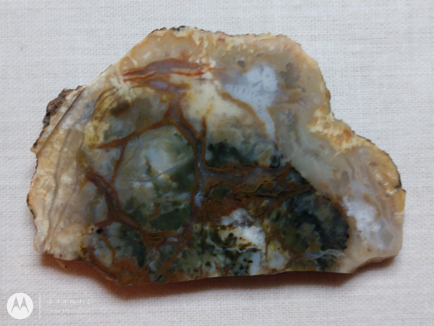 Coprolite FS-00006-04